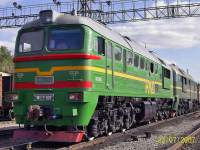 262-0081