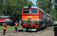 262-0081
