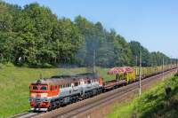 262-0104
