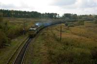 262-0135   