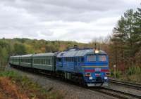 262-0202