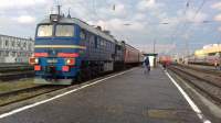 262-0202