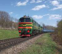 262-0239