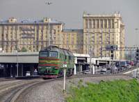 262-0081