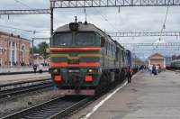 262-0131