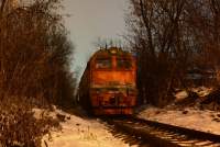  262-0083