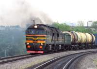 262-0061
