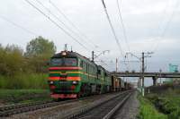 262-0019