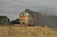 262-0050