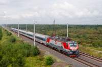 20-005