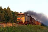  210-0929   