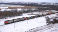  3116-008