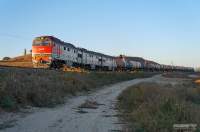  3116-008