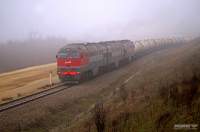  3116-009