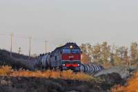 3116-008