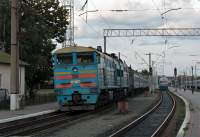 210-0061