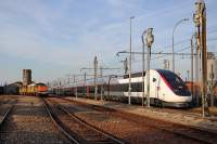  TGV 310365 (883)