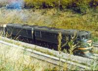 3-5018