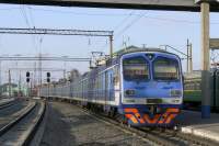  9-0216